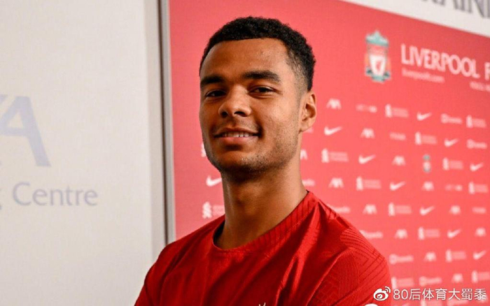 协调的结合 协调的结合