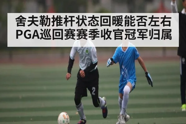 舍夫勒推杆状态回暖能否左右PGA巡回赛赛季收官冠军归属